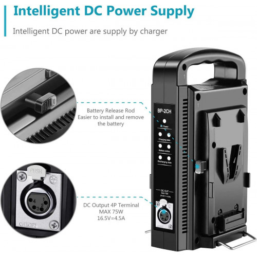 NEEWER Dual Channel V-Mount/V Lock Battery Charger