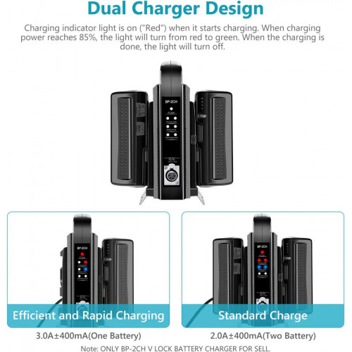 NEEWER Dual Channel V-Mount/V Lock Battery Charger