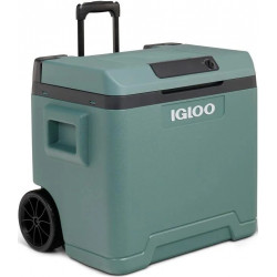 Nevera Igloo IE42 de 42 Litros, Verde.