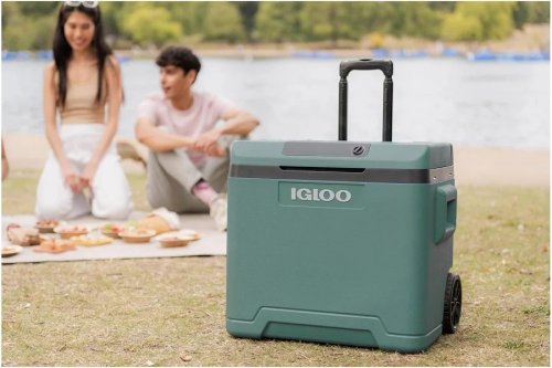Nevera Igloo IE42 de 42 Litros, Verde.