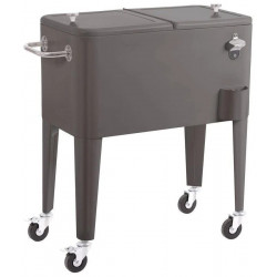 Nevera Portátil Fresh Gris Metal