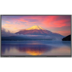 Newline Monitor Para Videoconferencias Led 3840 X 2160 Pixeles 4k Ultra Hd