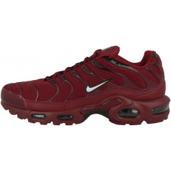 Nike Air Max Plus