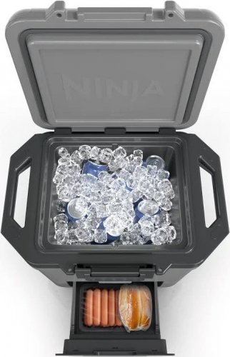 Ninja FrostVault Nevera portátil fb131euwh