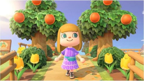 Nintendo Switch Lite Turquesa + Animal Crossing
