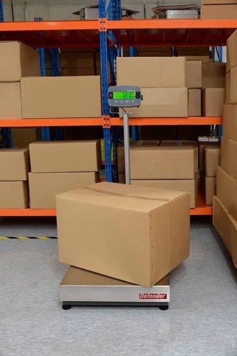 Ohaus Balanza i-D33P300B1V3 Balanza de 300kg 30684752
