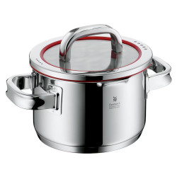 Olla de acero Function 4 WMF Acero