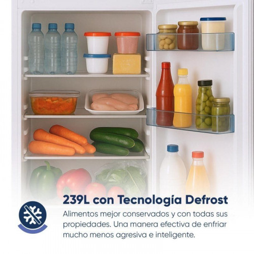Origial Cool&Freeze 2 Door 160 White Frigorífico Combi 2 puertas 160cm E Blanco