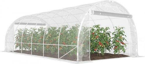 Outsunny Invernadero de Túnel 6x3x2 m con 2 Puertas Enrollables Transparente