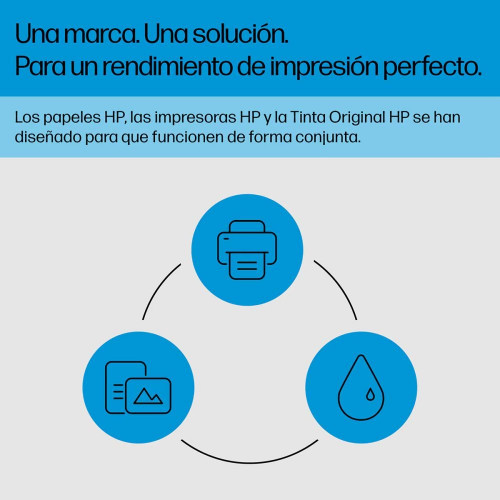 Pack de 4 Cartuchos de tinta original HP 937 multicolor (6C400NE)