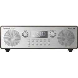 Panasonic RF-D100BT