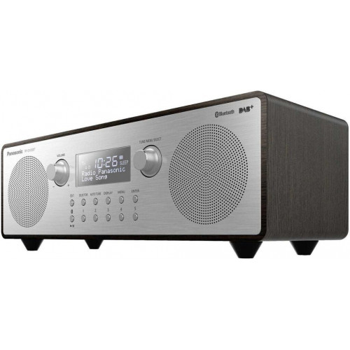 Panasonic RF-D100BT