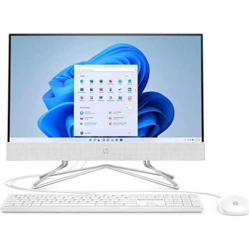 Pc All in One HP 22-dd0004ns Athlon 3150U/ 4GB/ 256GB SSD/ 21.5