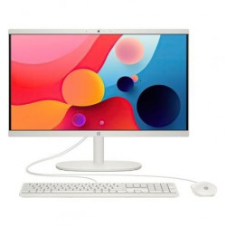 PC All in One HP 22-DG0036NS Intel Core i3-N300
