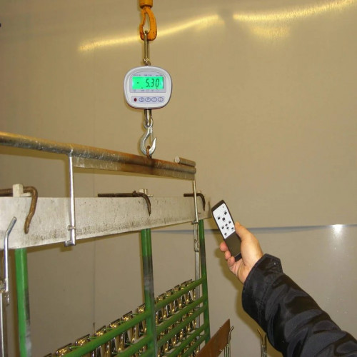 PCE Instruments Balanza colgante PCE-CS 300