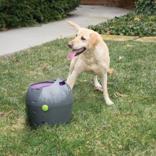 Petsafe PTY19-15850