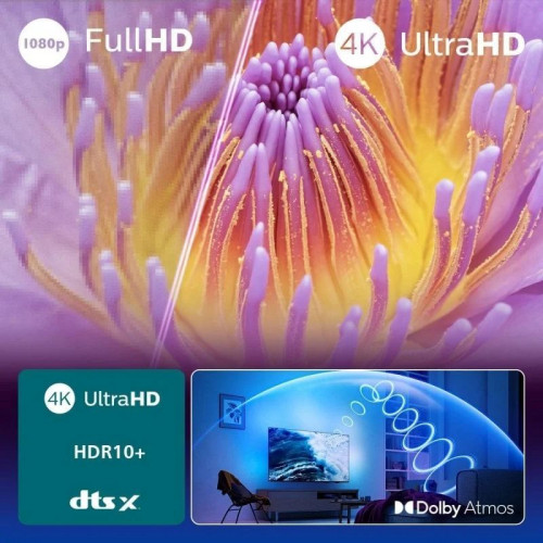 Philips Ambilight TV 65PUS8010 4K UHD LED 65