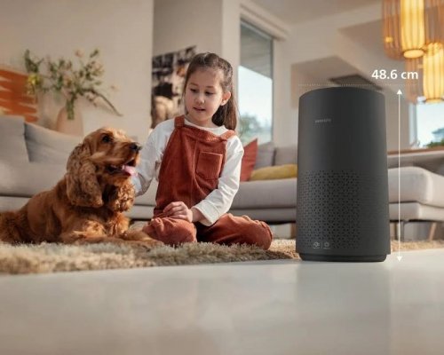 Philips Purificador de aire AC1715/10