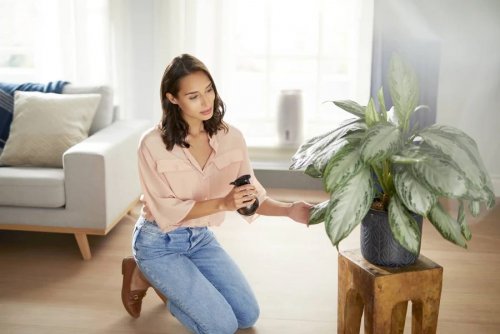 Philips Serie 2000 HU2716/10 Humidificador