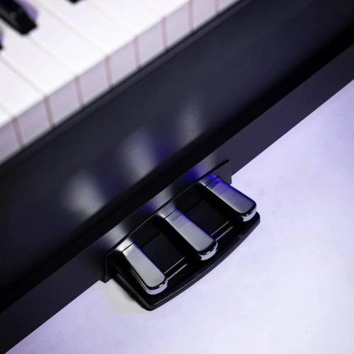 Piano digital Korg B2+SP