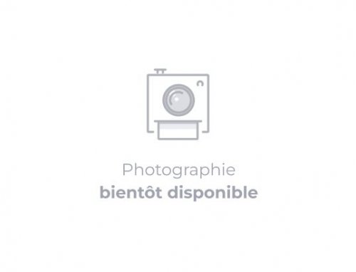Placa de Vitrocerámica Beko HIC64100