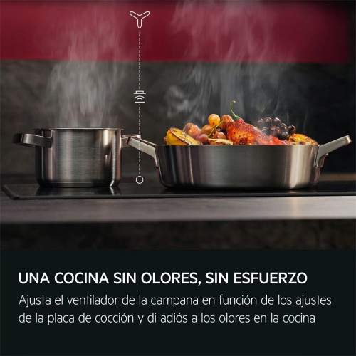 Placa inducción AEG con 3 zonas de cocción - TN63IA00FB Negro