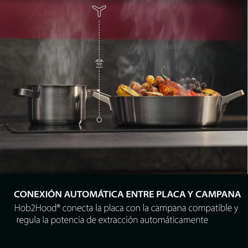 Placa inducción AEG con 3 zonas de cocción - TO63IQ0BIB Negro