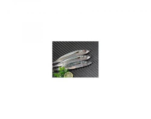 Plancha Hierro Fundido Redonda
