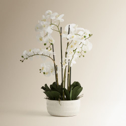 Planta artificial Orquídea con maceta baja EuroVolter Blanco