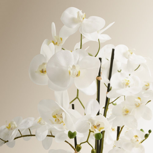 Planta artificial Orquídea con maceta baja EuroVolter Blanco