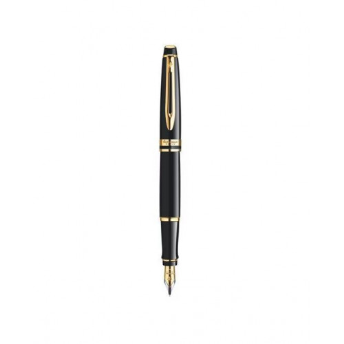 Pluma Expert GT Waterman Negro Mate