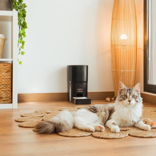 Pumba 6000 Purrfect Meal Smart Vision Matrix