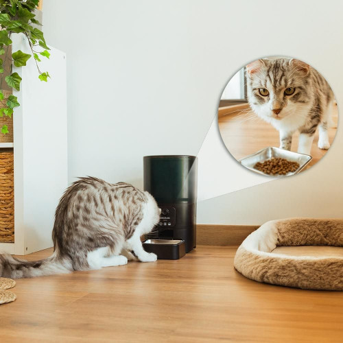 Pumba 6000 Purrfect Meal Smart Vision Matrix