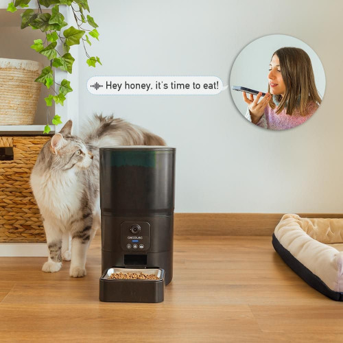 Pumba 6000 Purrfect Meal Smart Vision Matrix