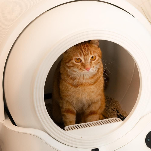 Pumba 6800 CleanKitty Comfort