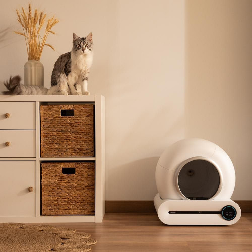 Pumba 8500 CleanKitty Smart Axis