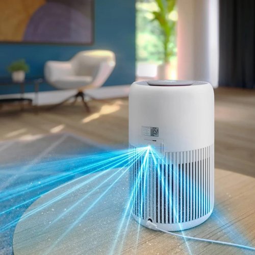 Purificador de aire Philips AC0920/10