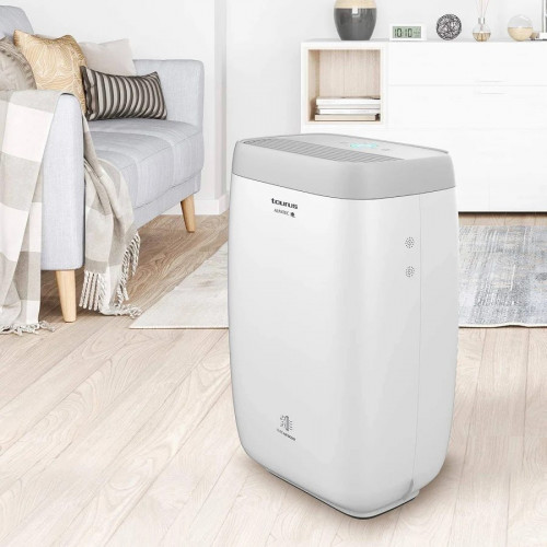 Purificador de Aire Taurus AP2040