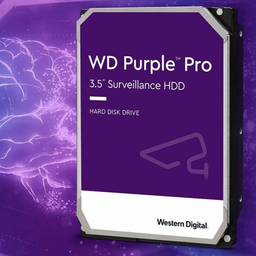 Purple Pro Western Digital