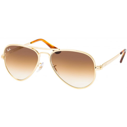 Ray-Ban Aviator Max RB3925