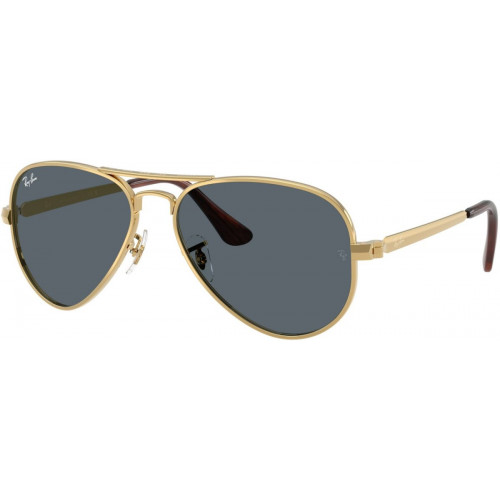 Ray-Ban Aviator Max RB3925