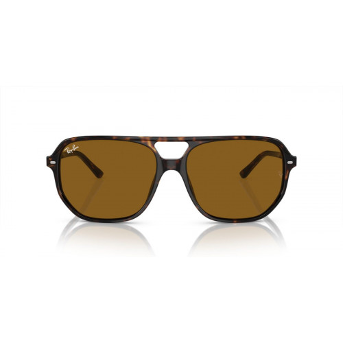 Ray-Ban Bill One RB2205