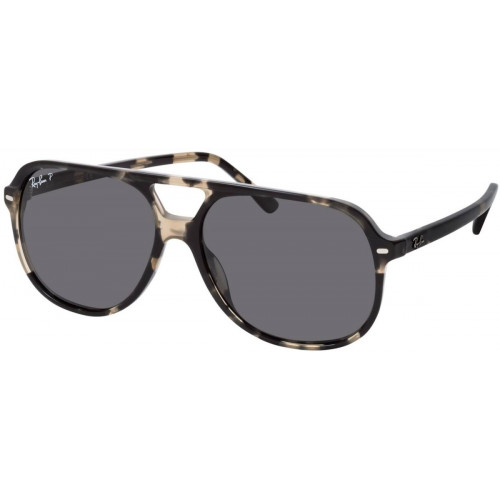 Ray-Ban Bill RB2198