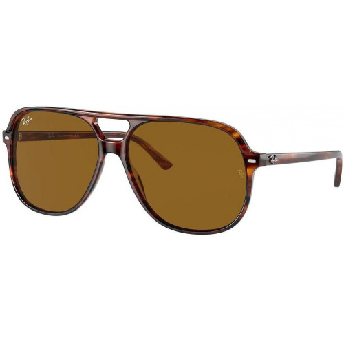 Ray-Ban Bill RB2198