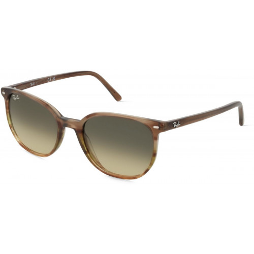 Ray-Ban Elliot RB2197