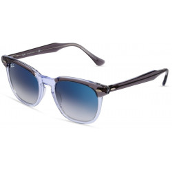 Ray-Ban Hawkeye RB2298