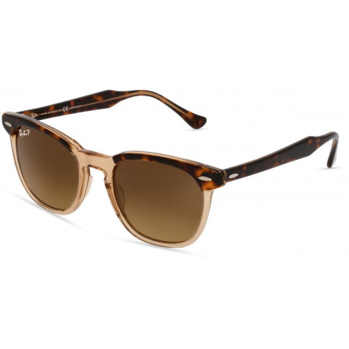 Ray-Ban Hawkeye RB2298