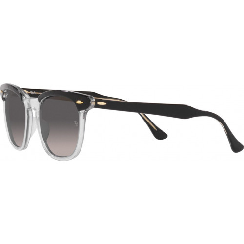 Ray-Ban Hawkeye RB2298