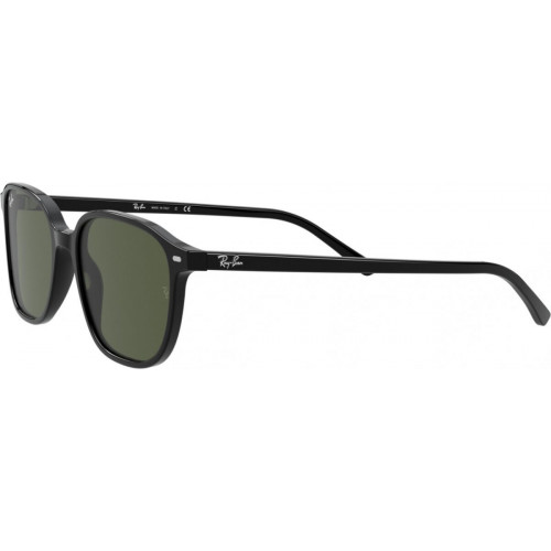 Ray-Ban Leonard RB2193