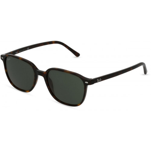 Ray-Ban Leonard RB2193